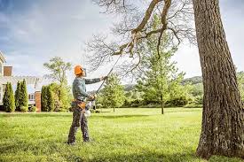 Lawn Maintenance Plans in Manhattan, NY